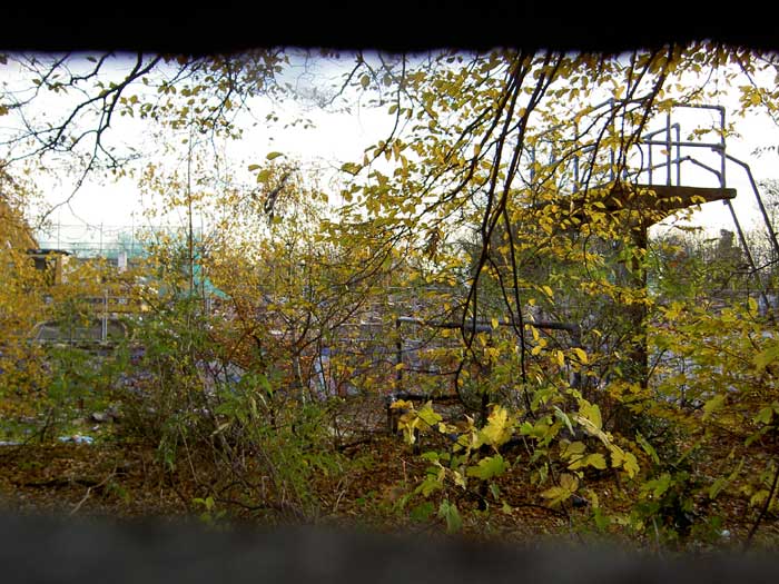 Through the back fence, 19/11/04